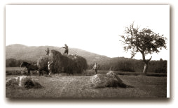 Haying Scene - Dover NH - 1920s