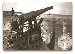 Newcastle Fort Guns in Early 1900s