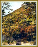 Old Man of Mt