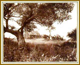 Deserted Farmhouse